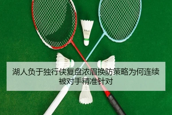 湖人负于独行侠复盘浓眉换防策略为何连续被对手精准针对